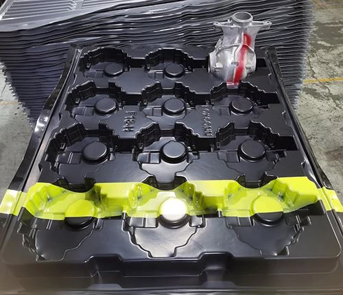 Thermoformed Trays