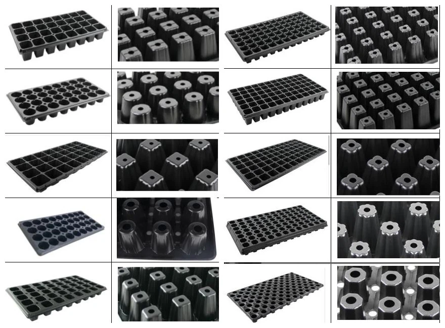 21 32 36 50 72 105 128 Cells Tray 21 32 36 50 72 105 128 Cells Tray